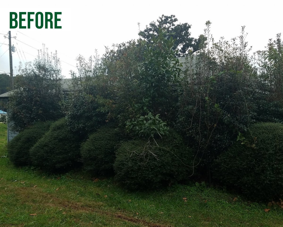 After: Landscaping Residential Customer in Southwest Metro Atlanta.