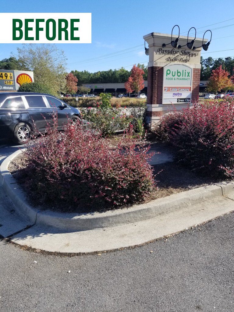 After: Paradise Shoppes of New Hope Dallas GA Commercial Landscaping