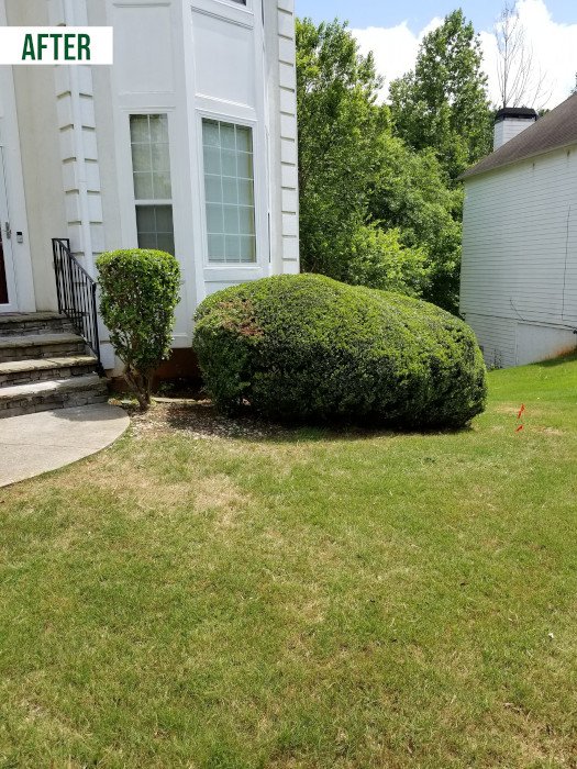 Before: Landscaping Residential Customer in Southwest Metro Atlanta.