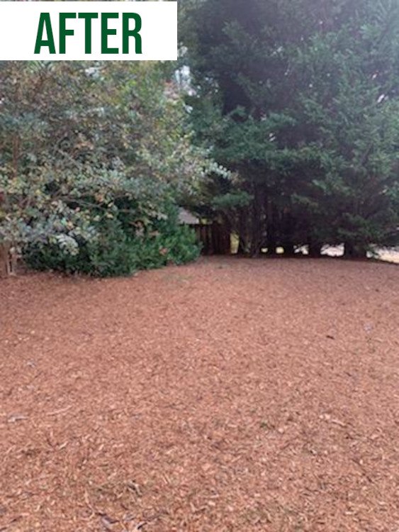 Before: Landscaping Residential Customer in Southwest Metro Atlanta.